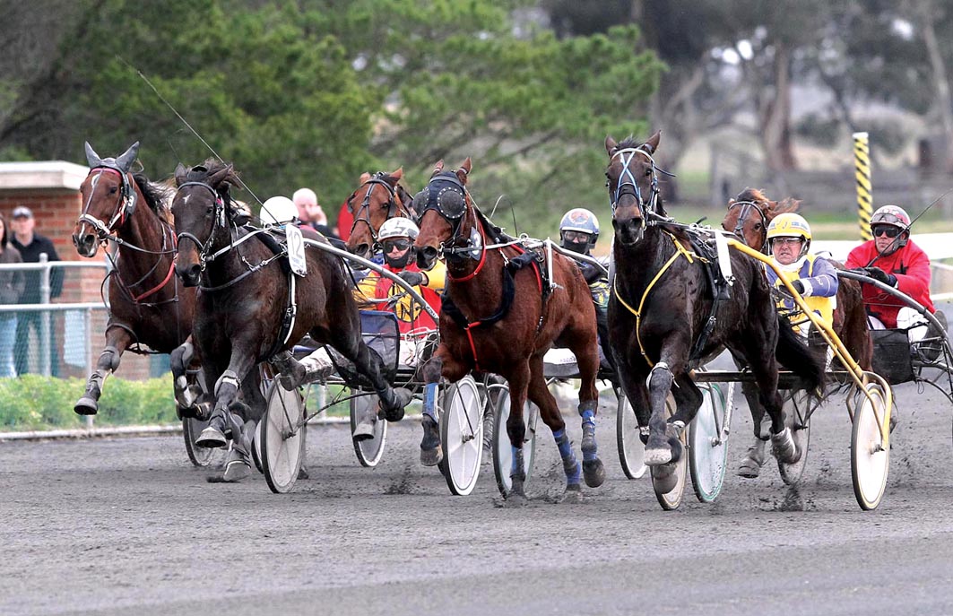 Here's a carrot for three-year-old trotters