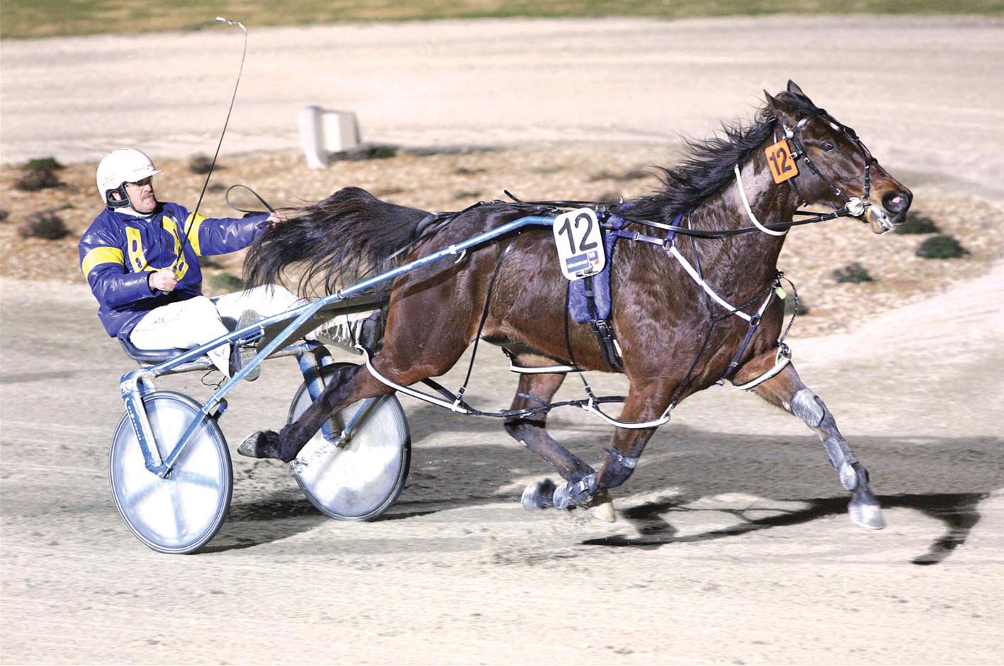 Owner of champions was also a champion bloke