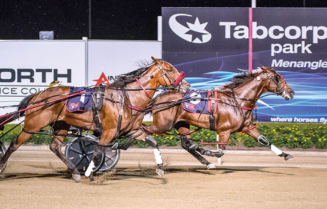 Welcome highs following death of Group One winner
