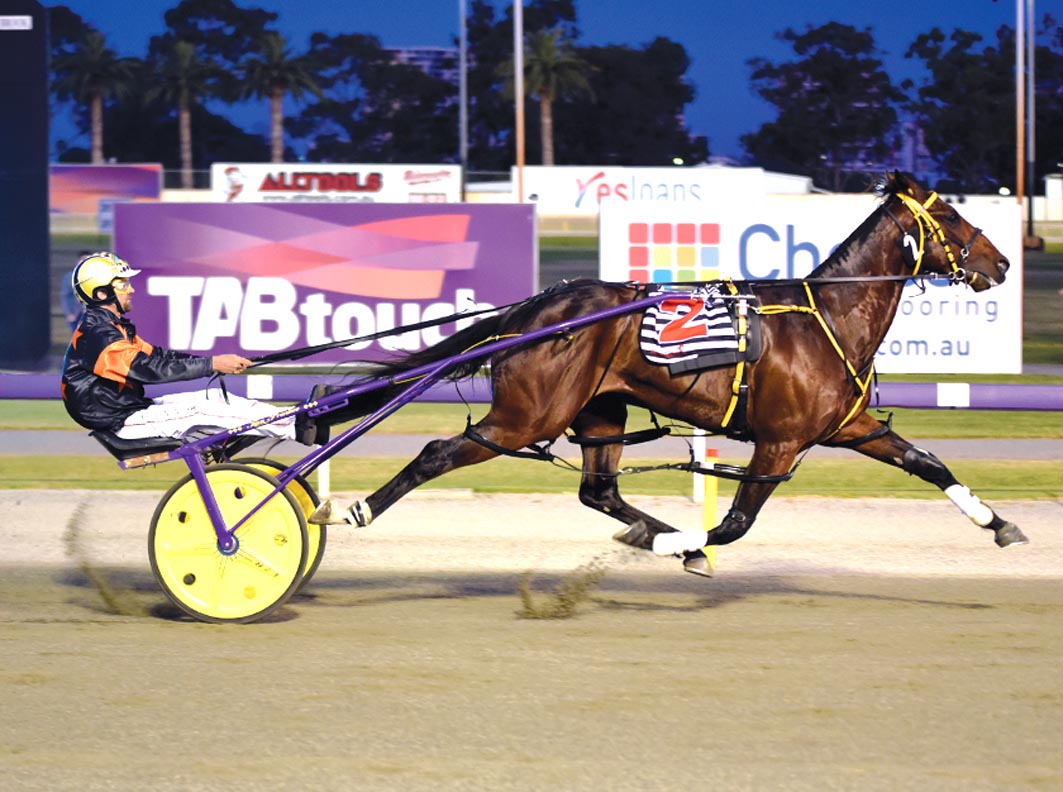 Best filly we've bred!