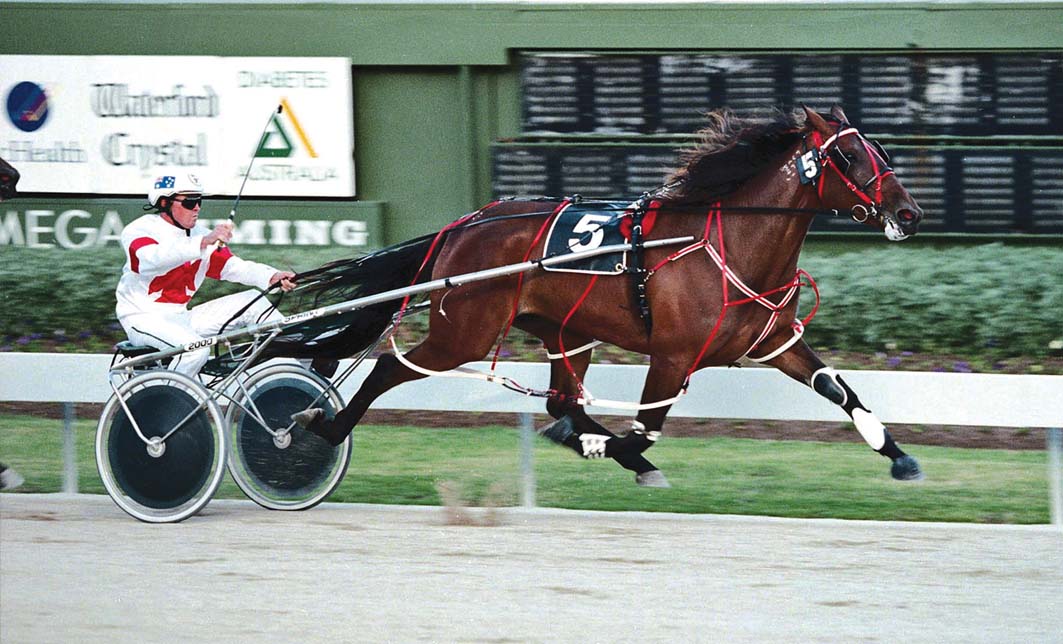 Sad passing of champion mare