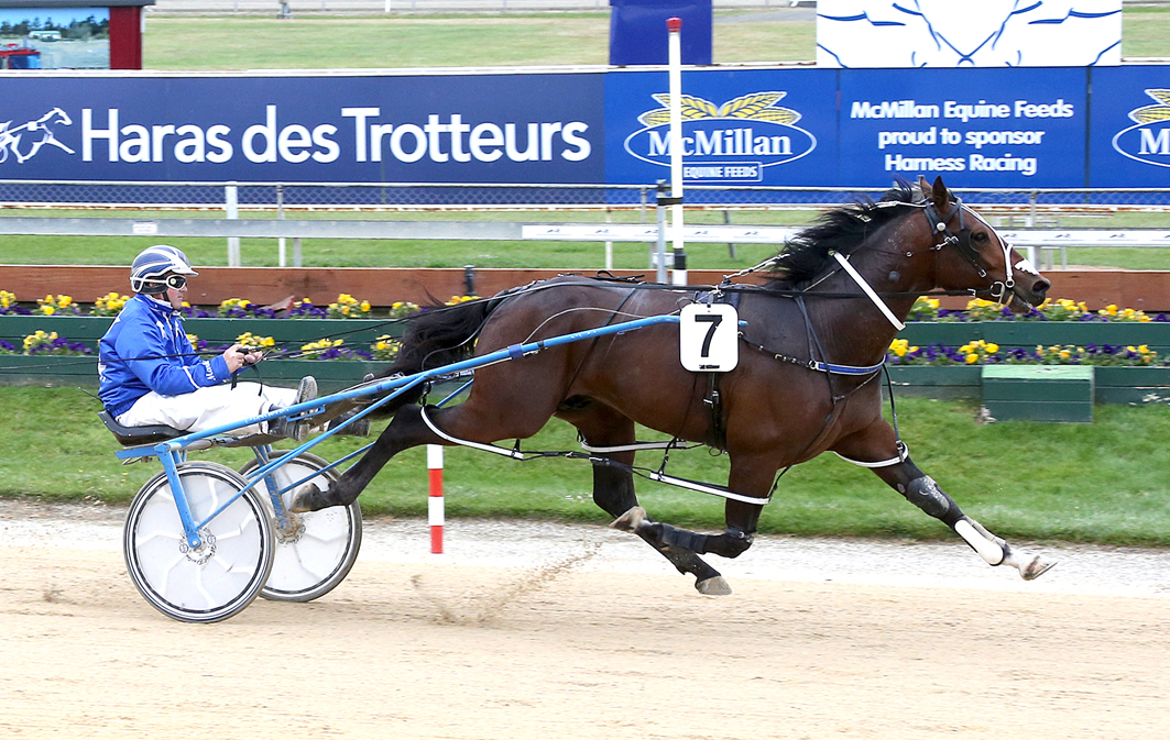 Super star's first Kiwi progeny set to debut