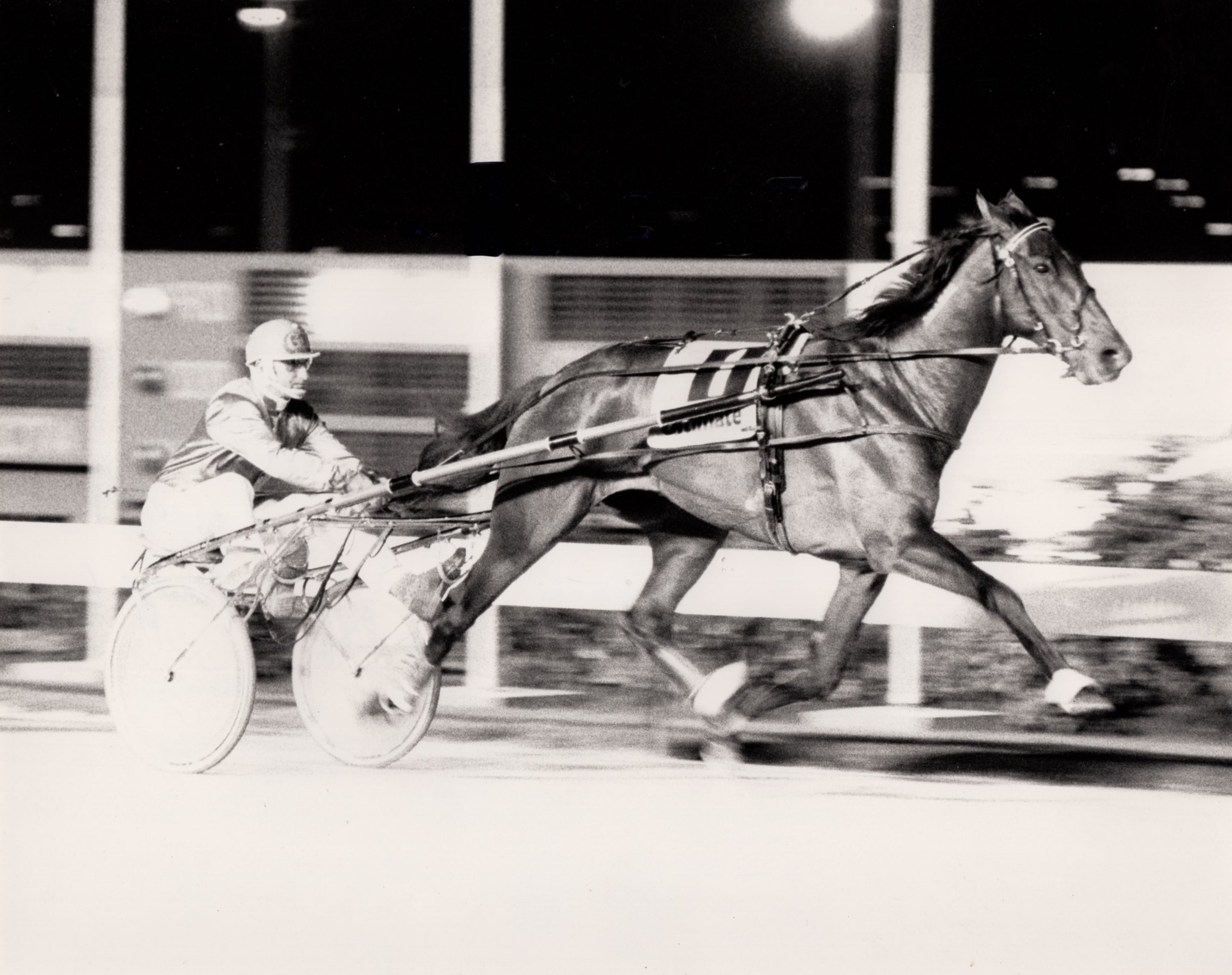 Is Zahara the best trotting mare Australia has produced?