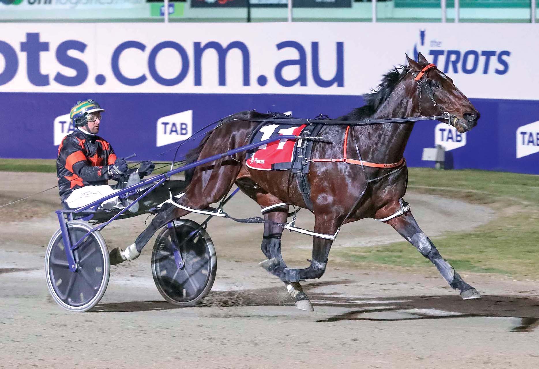 Opportunities have never been better