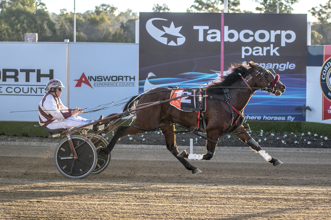 Australian Group One winner undefeated in US