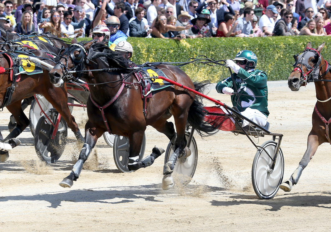 Leading stud joins fight of worthy charity