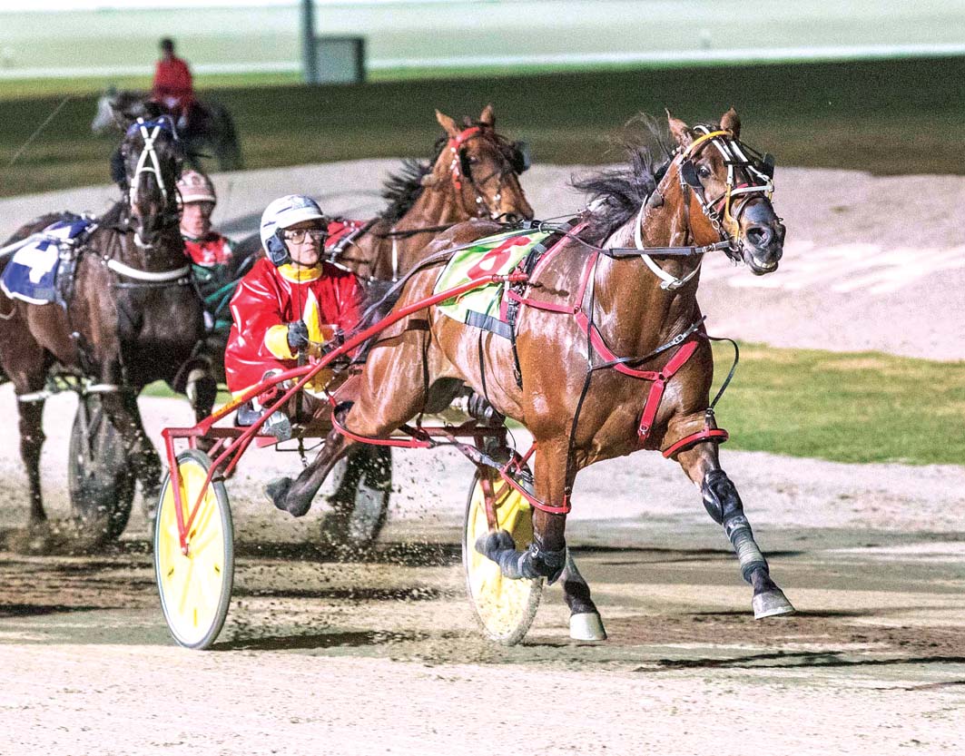 Aussie horseman dominates Minnesota meeting