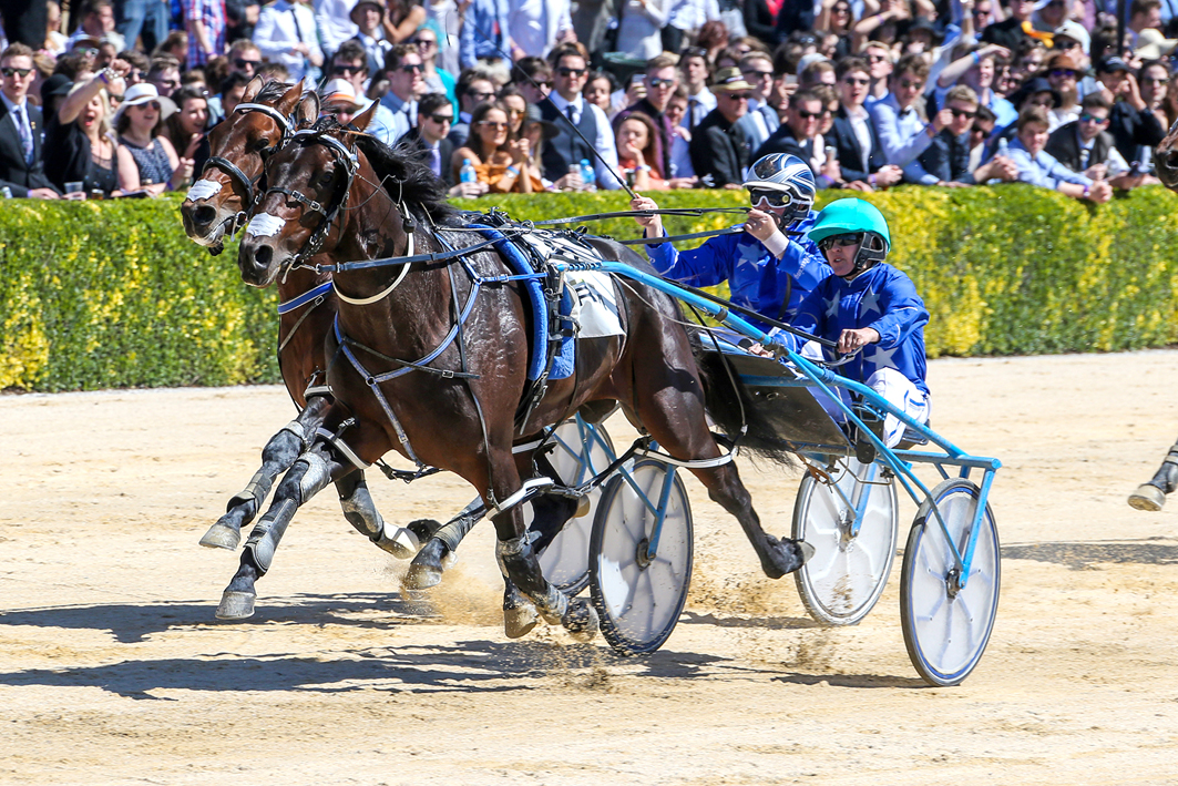 Vendor ready for APG Sales debut