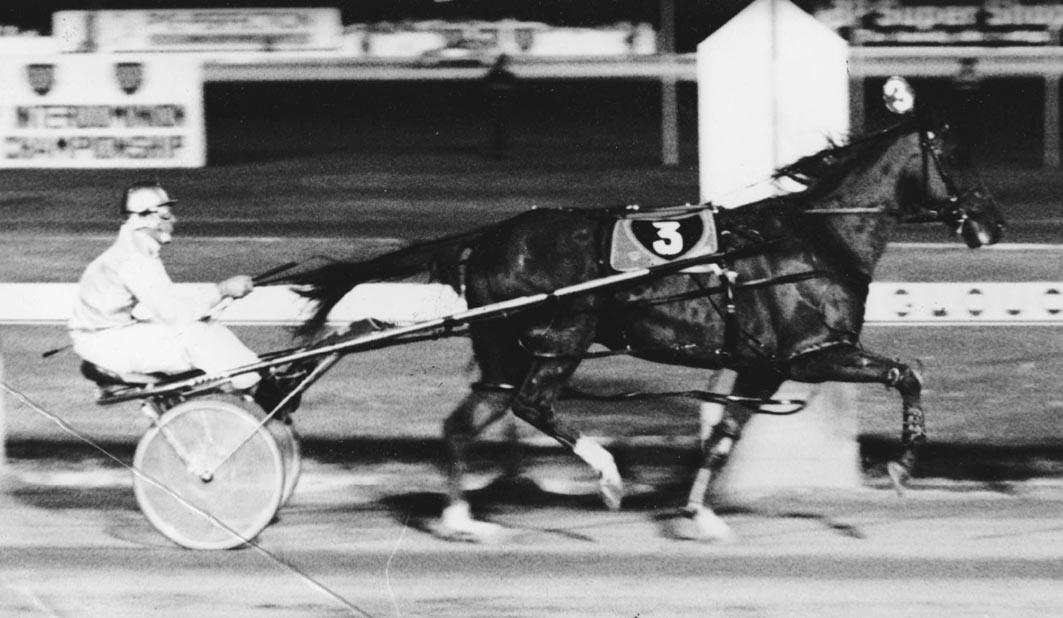 SA pride to honour former 'Croweater' great