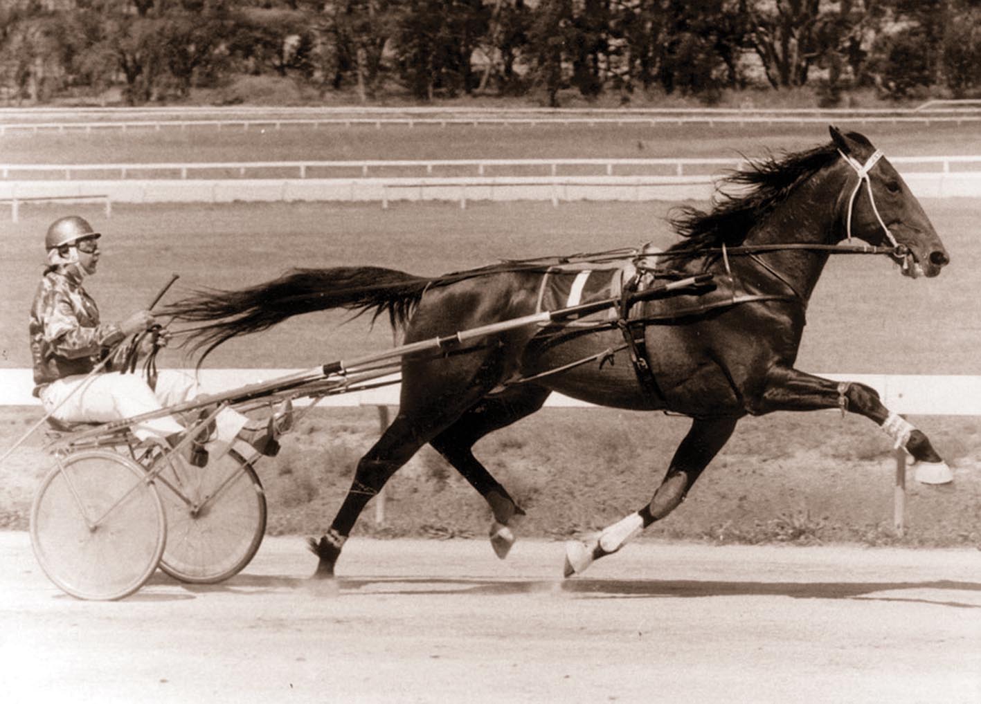 Feature win revives memory of all-time great