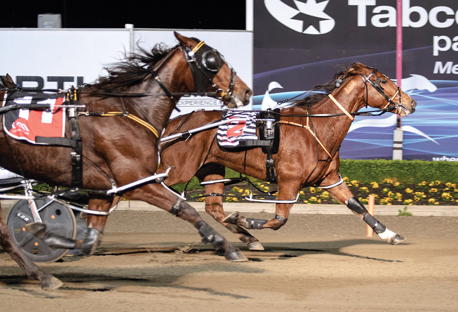 HES CHIMING National Trotguide