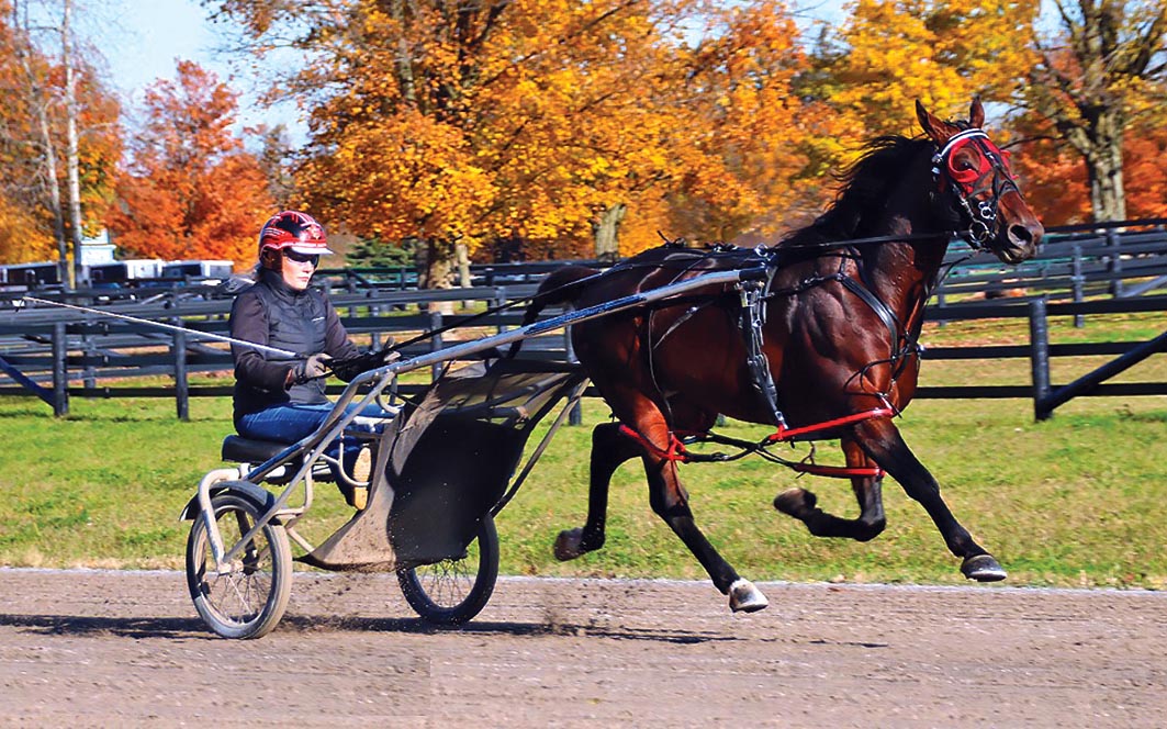 Aussies ready to get back into action in USA