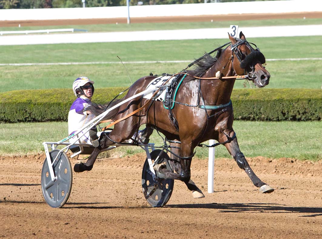 Oh Miki, you're so fine