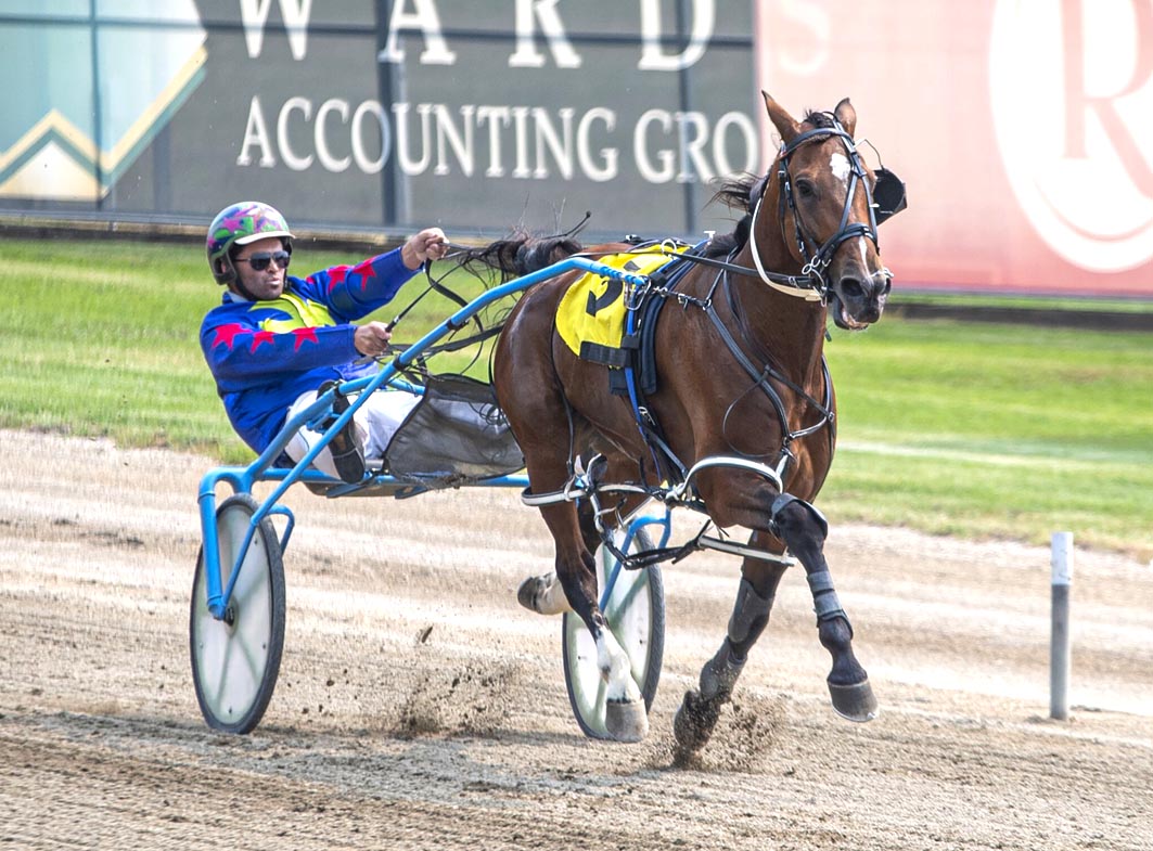 He's done enough! Stable star gets a permanent spell