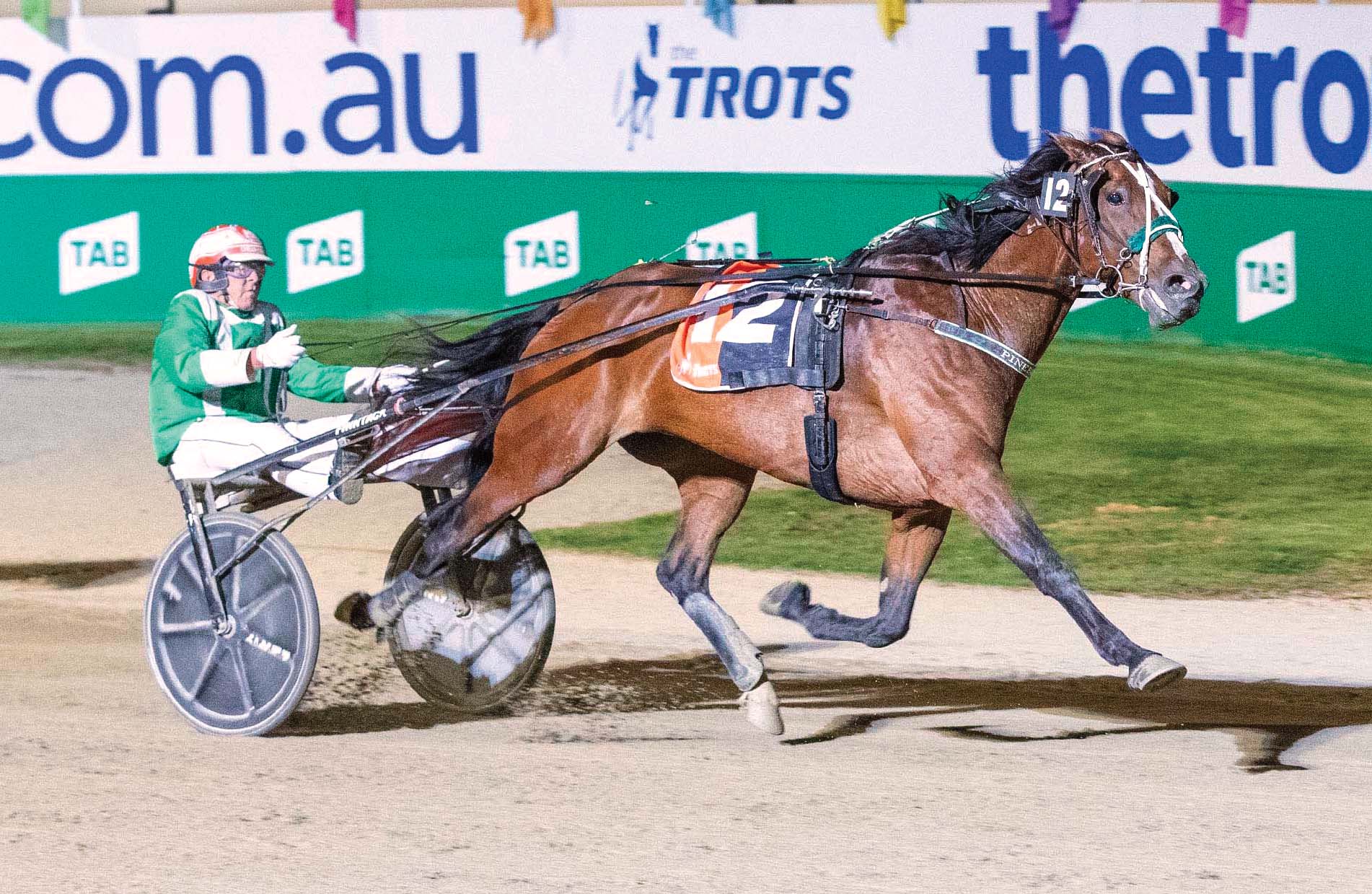 Third time's a charm for top trotter