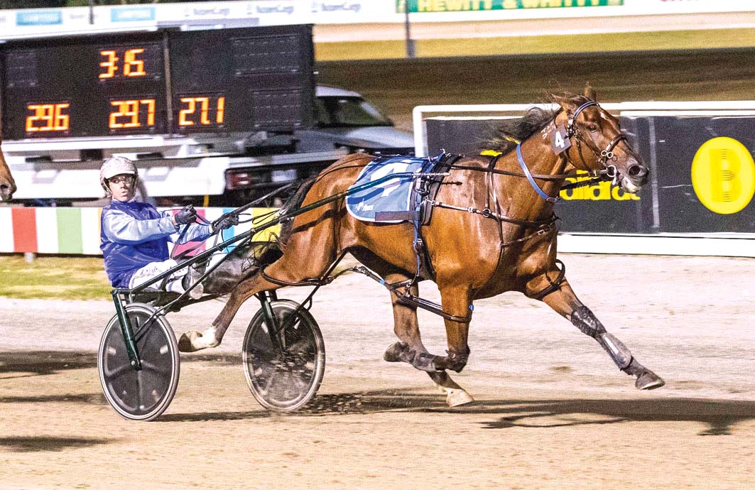 Trainer pays tribute to fallen reinsman