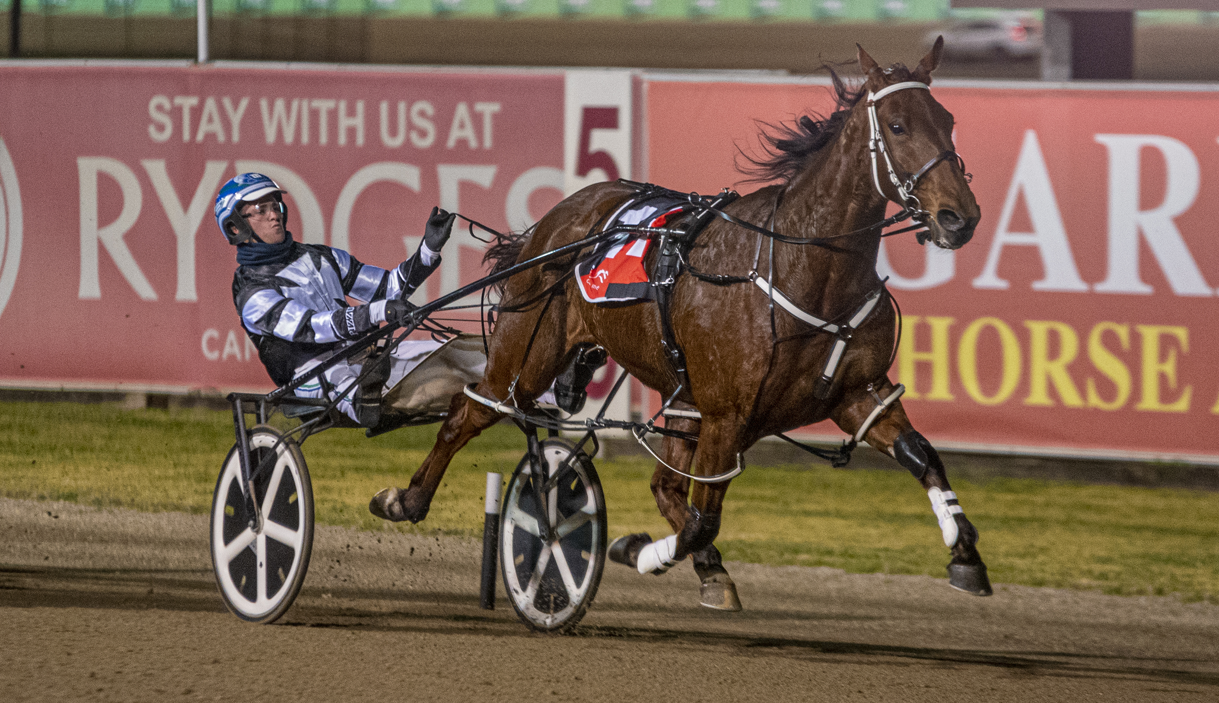 Aussie back in action in USA