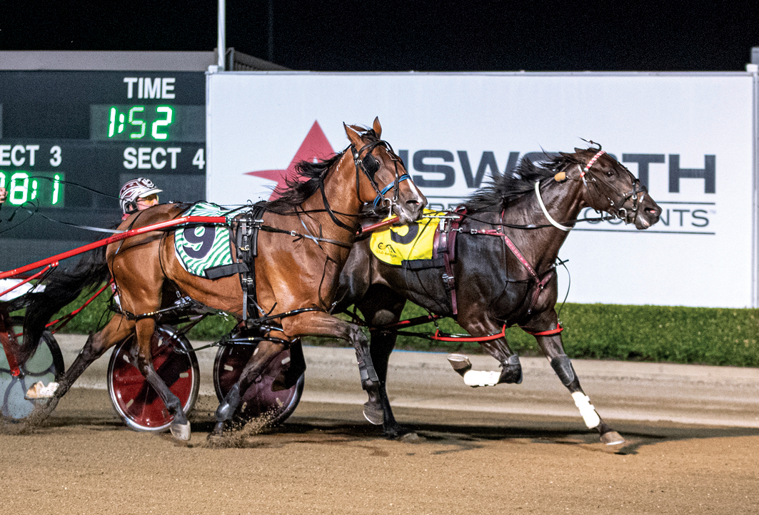 Kiwi's perfect start to Aussie campaign