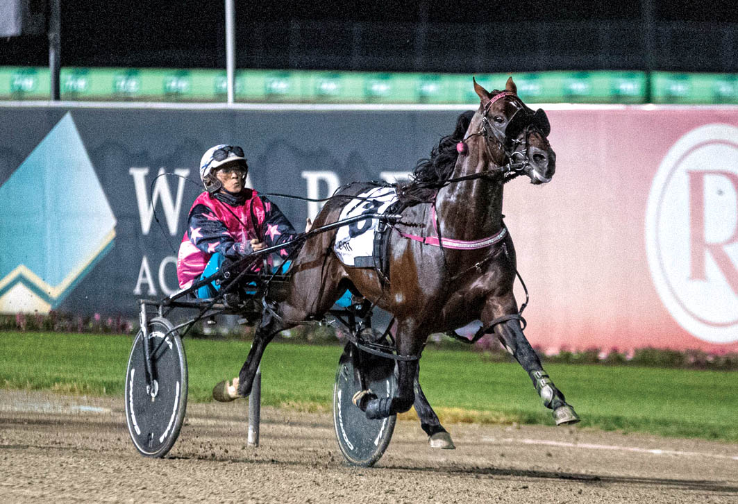Draw adds confidence in search of overdue win