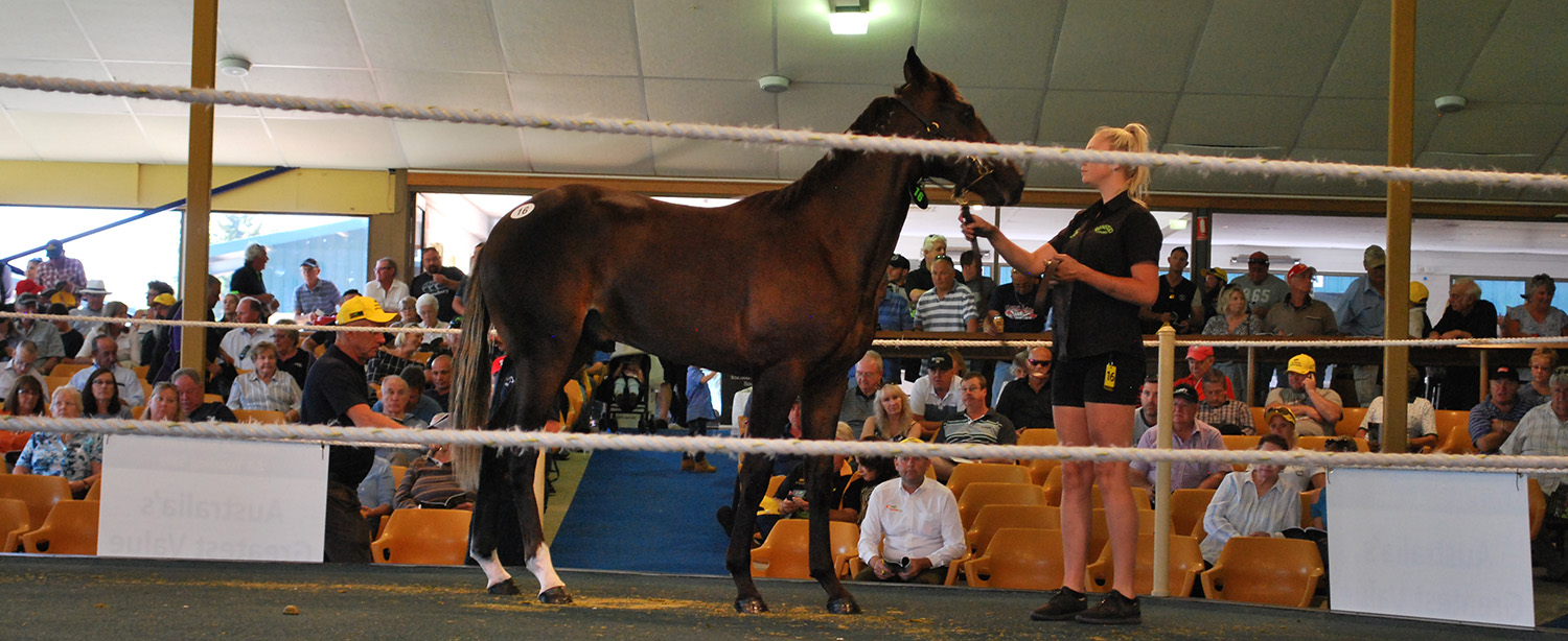 Huge incentives for buyers