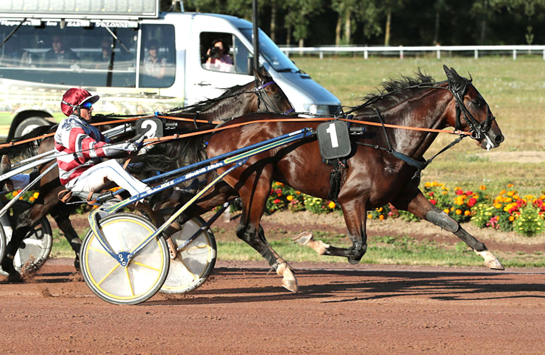 French trotter Gatsby to prove a great purchase