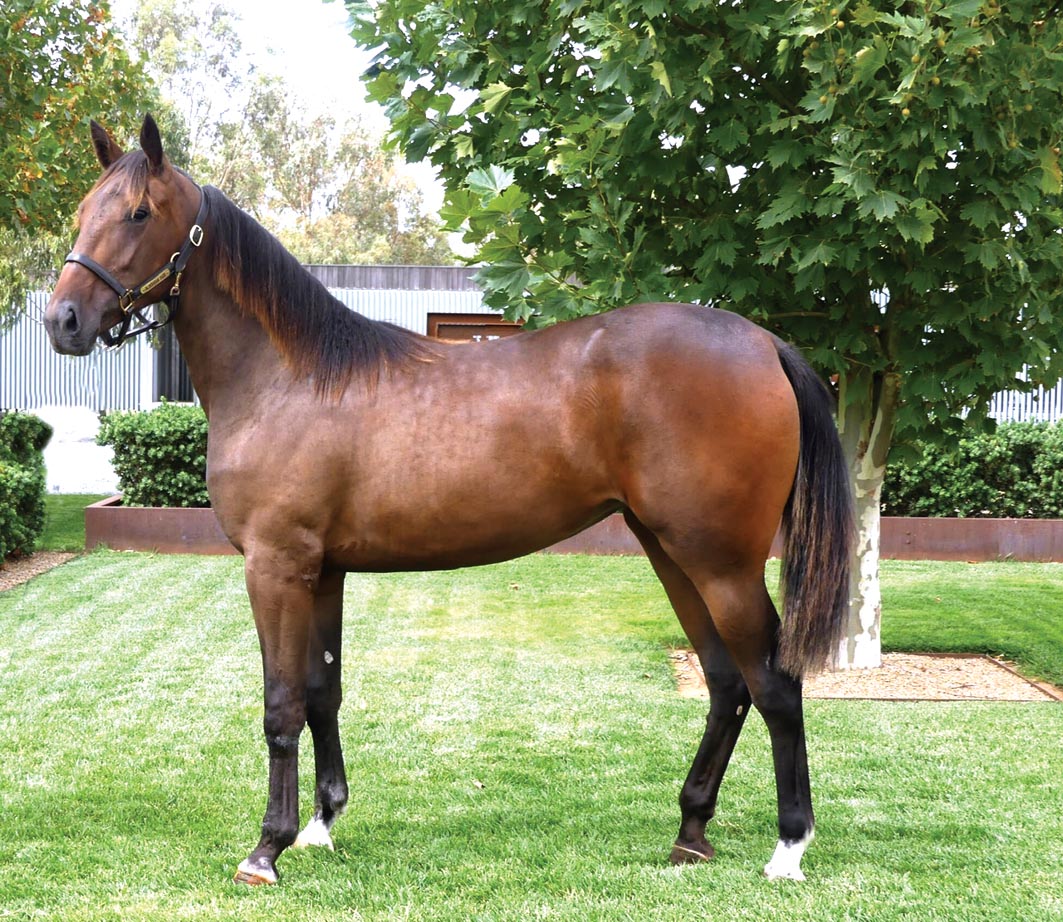 An Aussie first in America