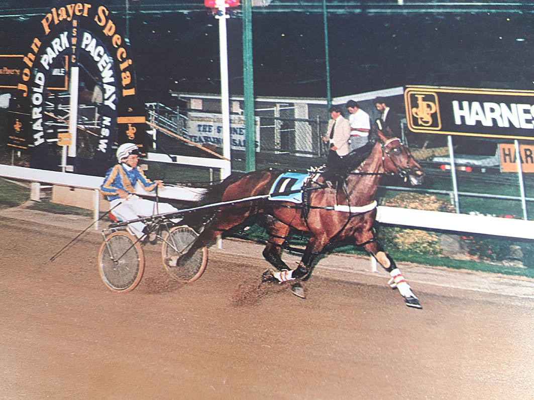 Harness racing's forgotten champion