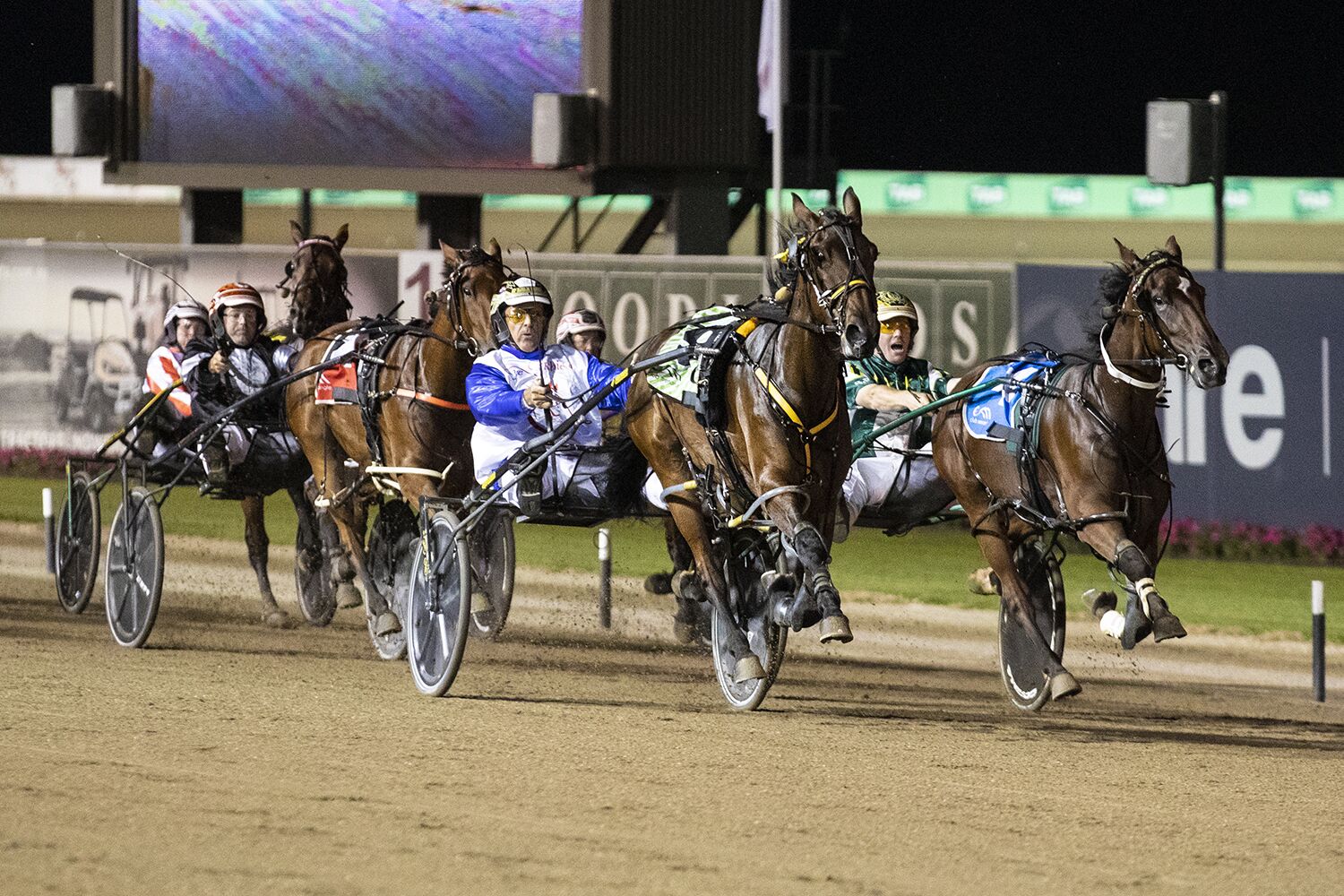 His stable's 'singing in the sunshine'