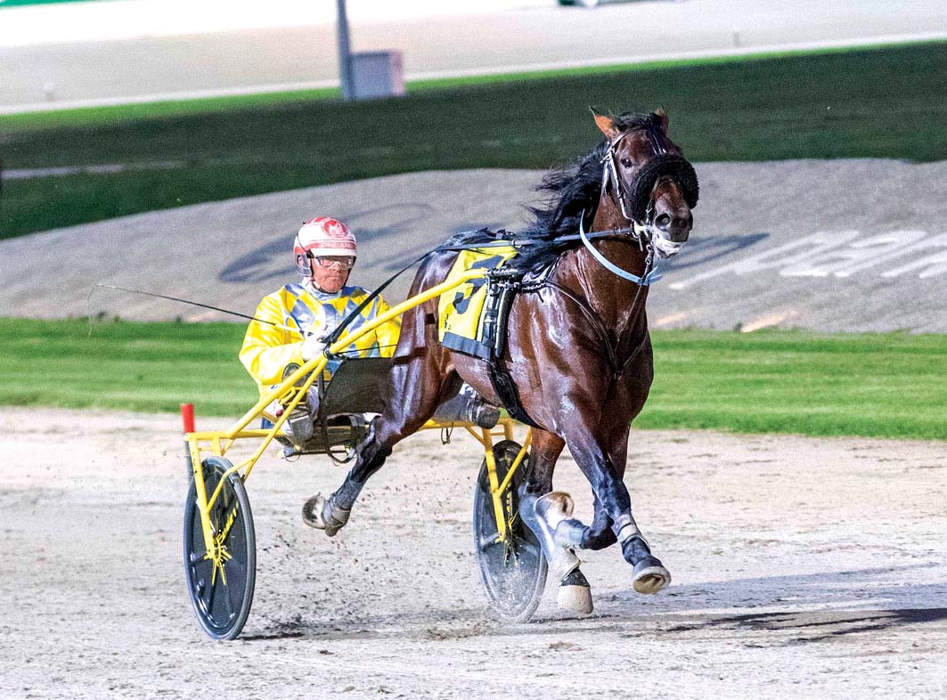 Star trotter heading for Alabar