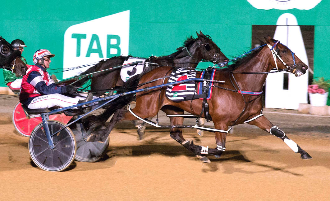 Quality mare has earned a crack at metro racing
