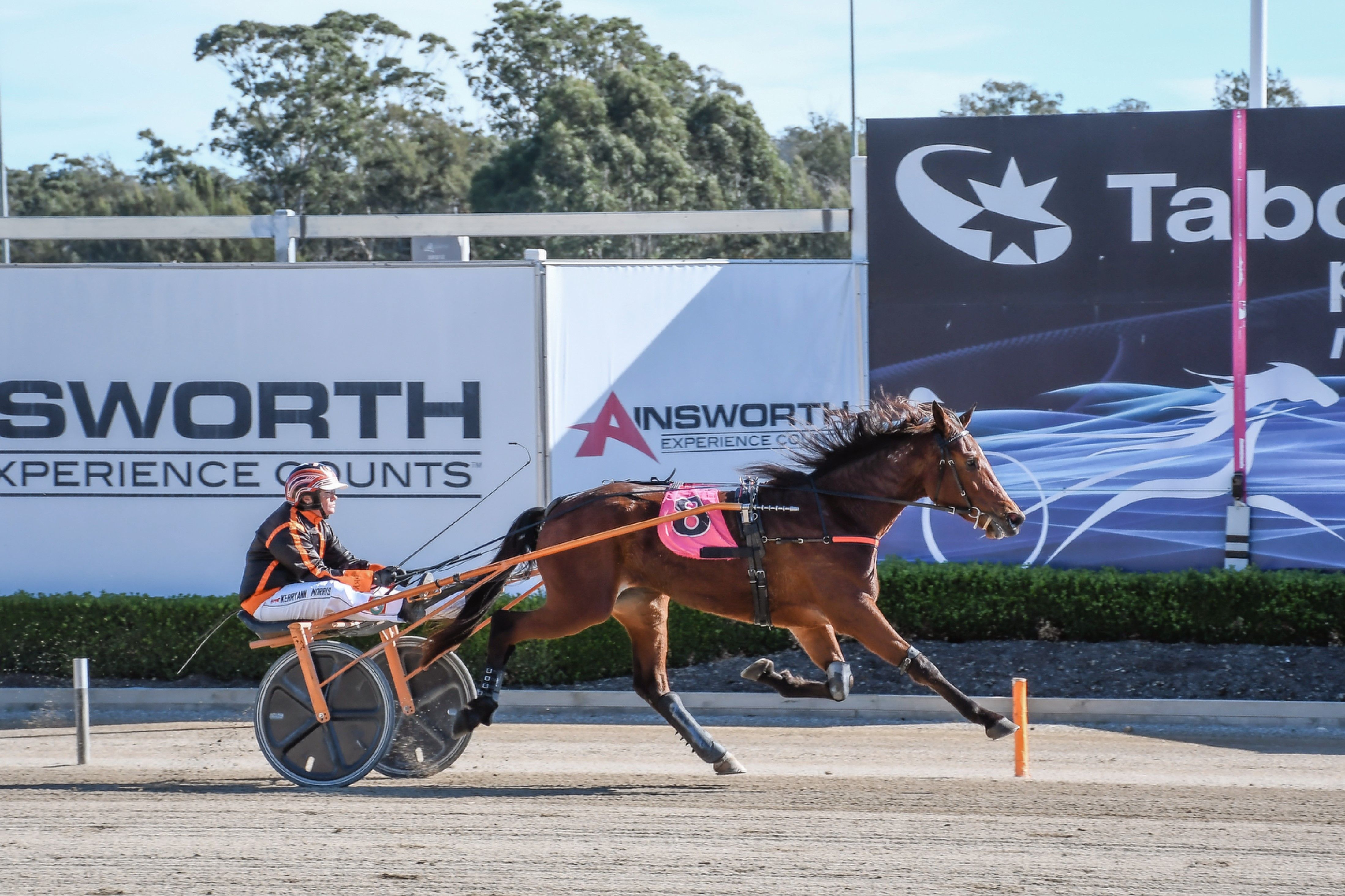 Squaregaiters proving a hit for Perkins