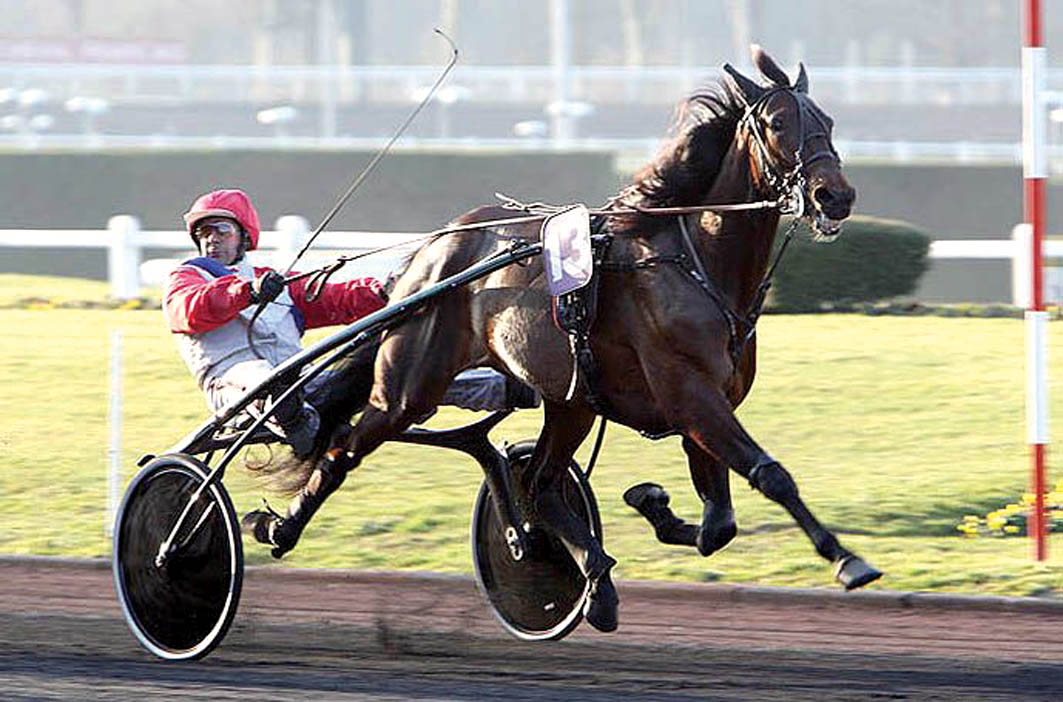 Australian filly the only one in the world