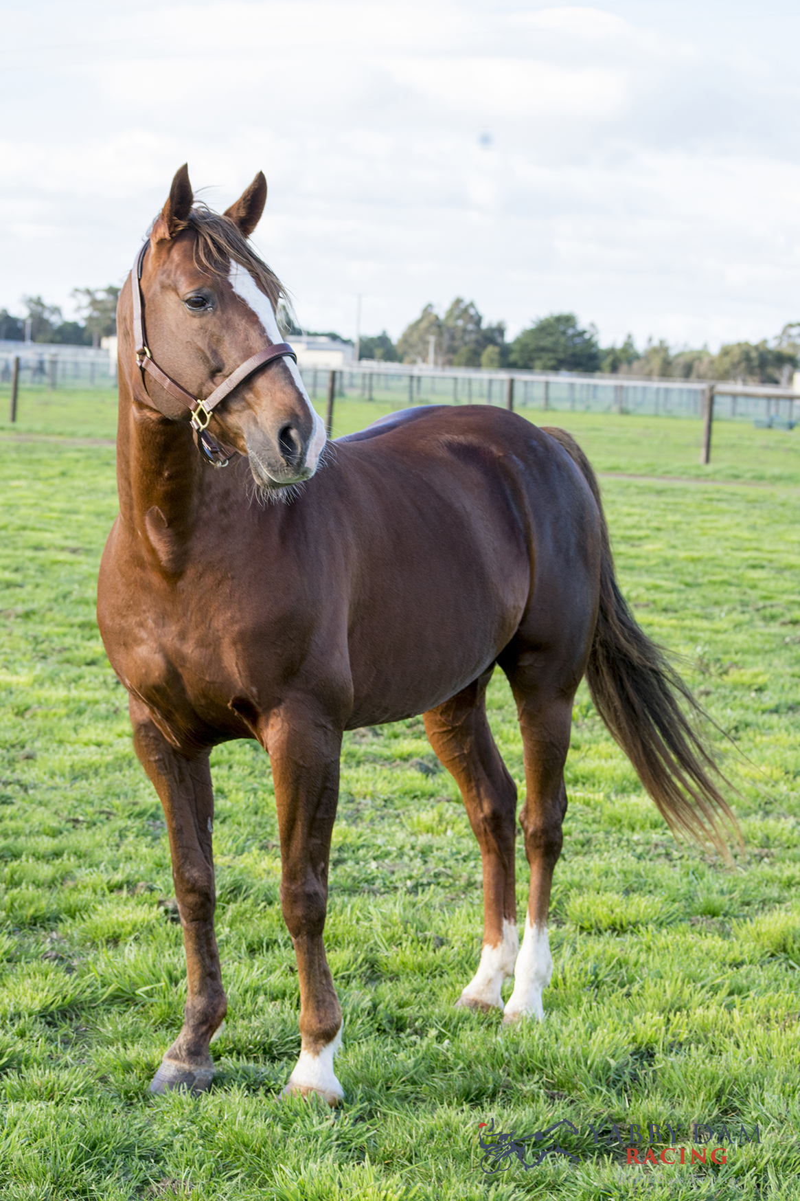 This one is 'set to go'