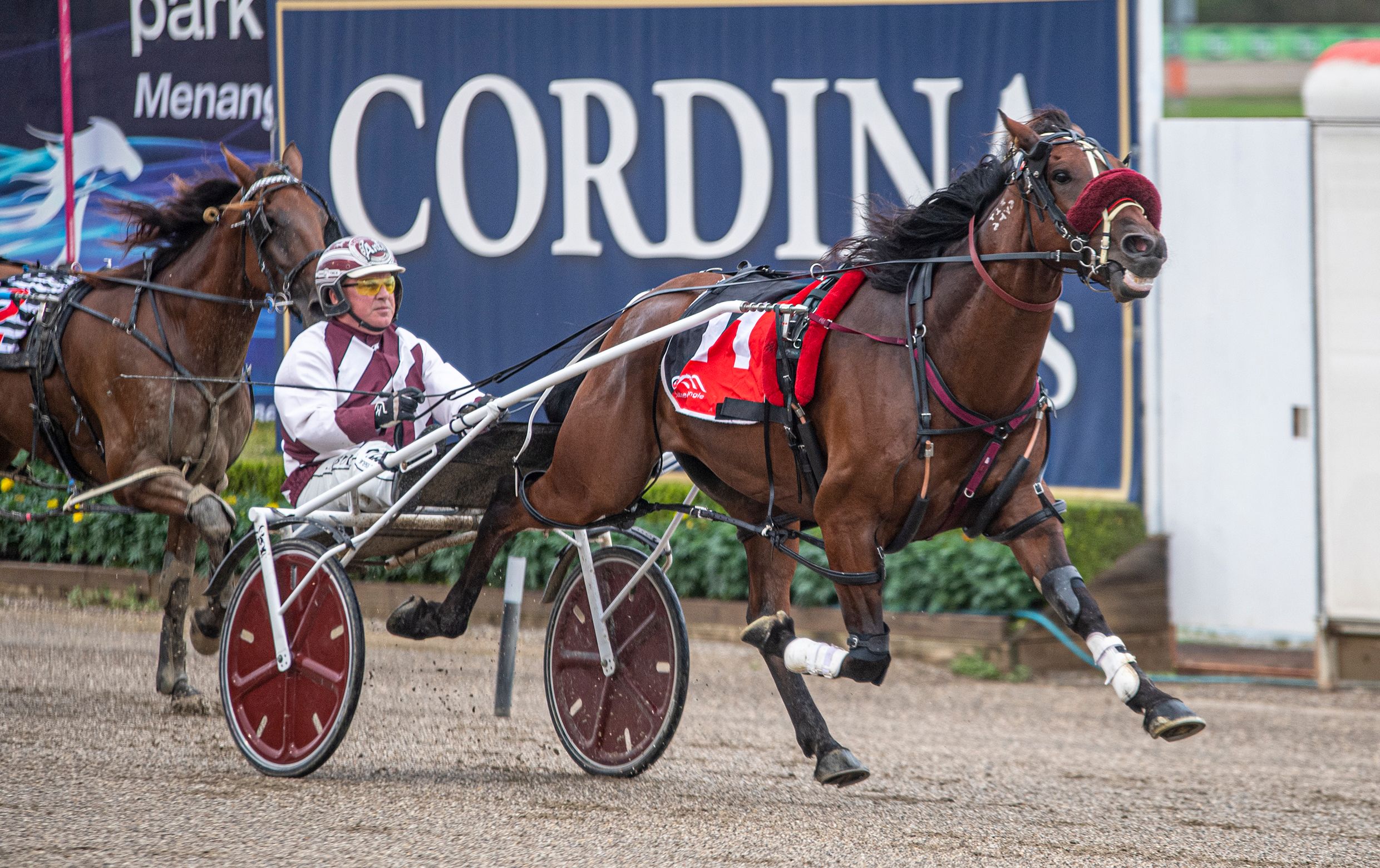 Australian Group One winner extends USA winning streak