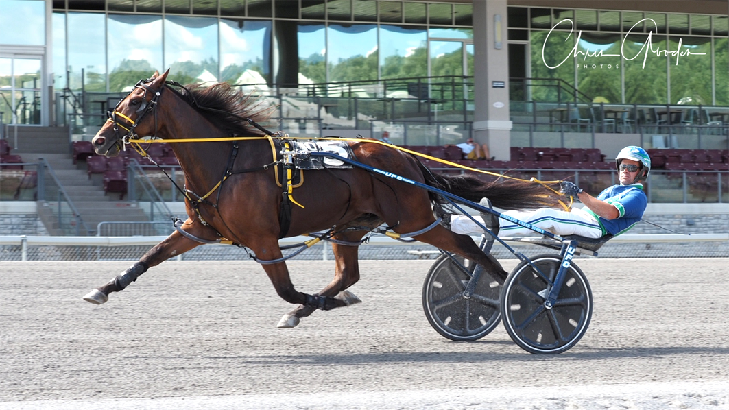 Domination at The Meadows