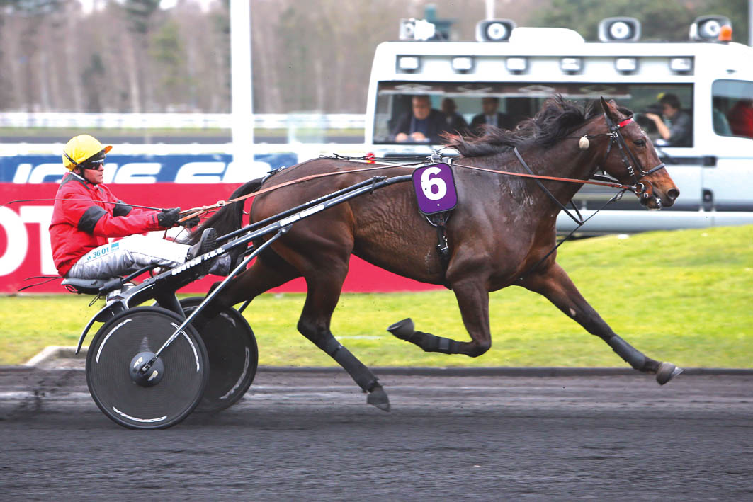 Major coup for Australasian breeders