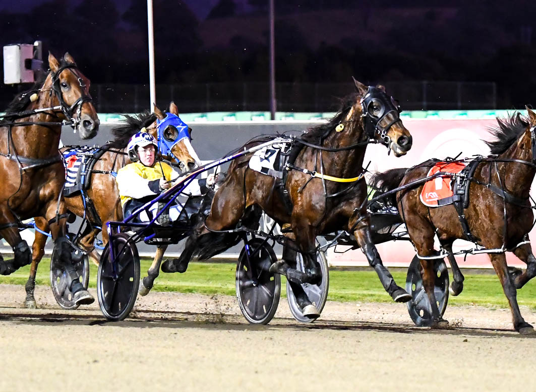 Eight races at The Big M . . . and here's your eight winners