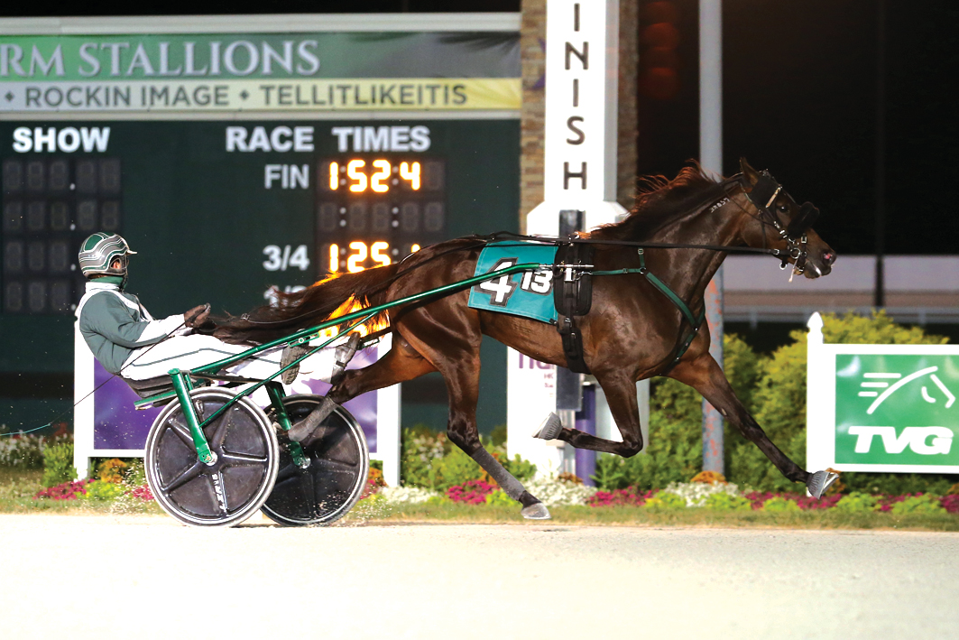 Talented trotter maintains perfect record