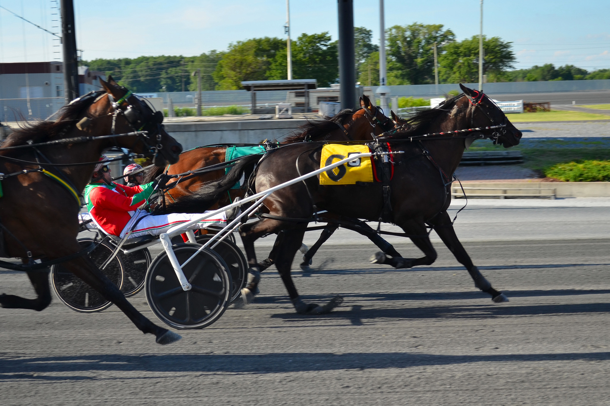 Former Kiwi sizzles at Harrington Raceway