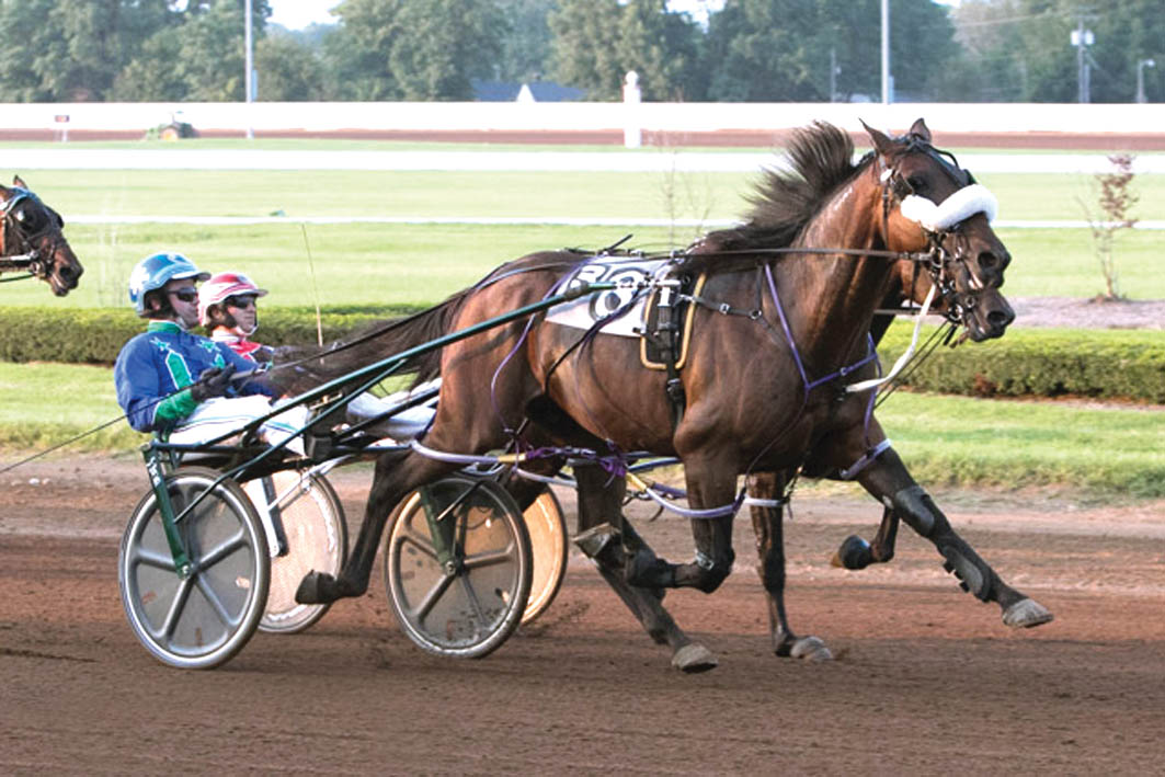 Hurrikane blows rivals away in $250,000 Final