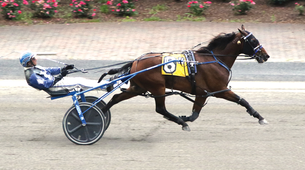 Aussie-bred pacer shines at Tioga Downs