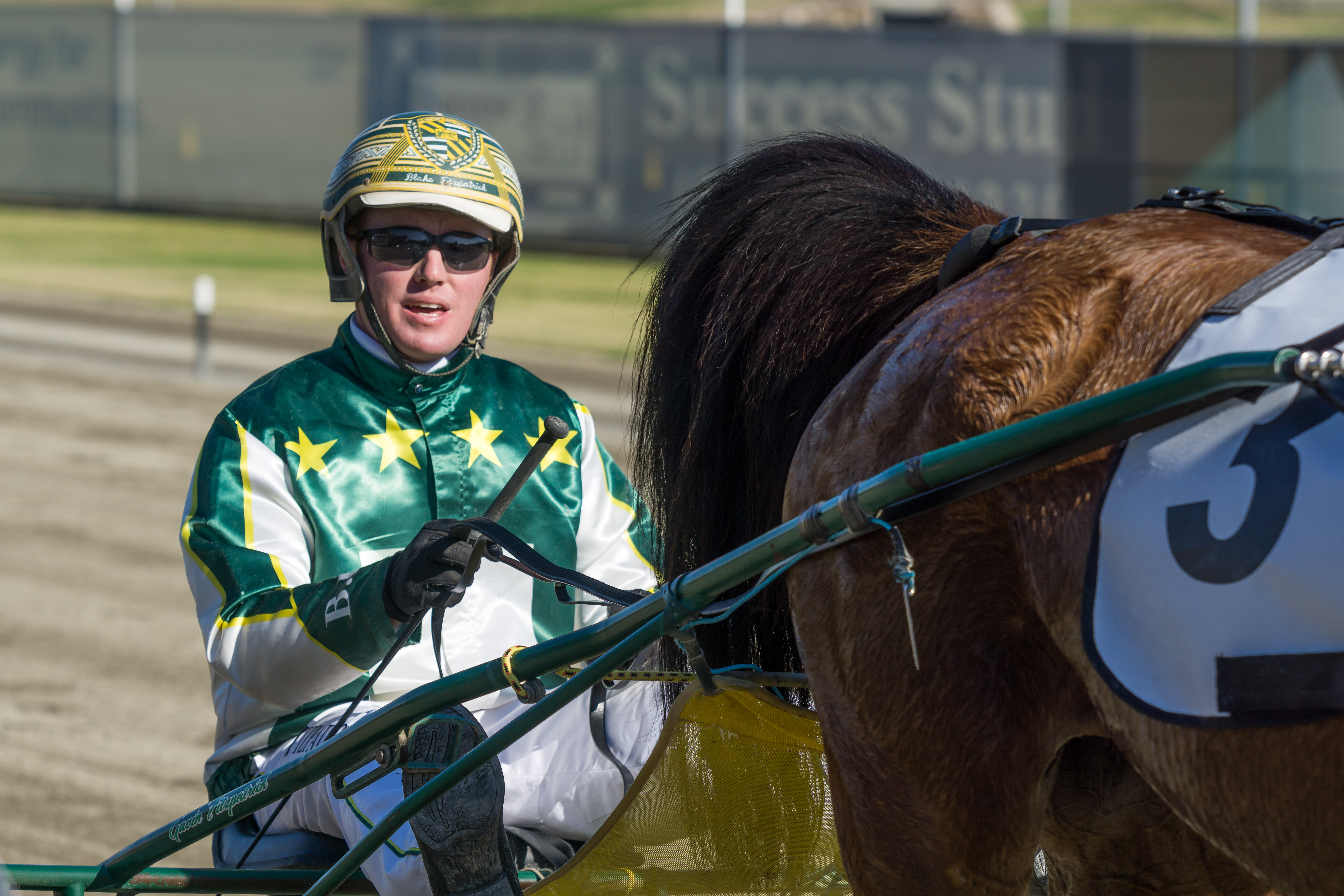 Giving the gallopers another go