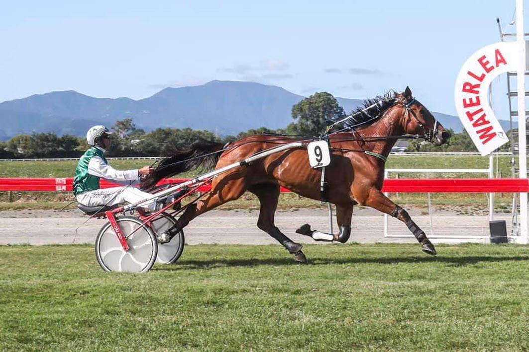 Record run proves heavyweight ready for title shot