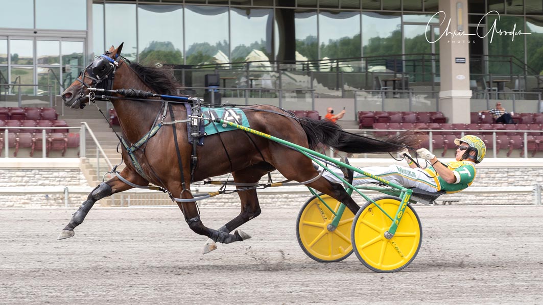 Records tumble at The Meadows