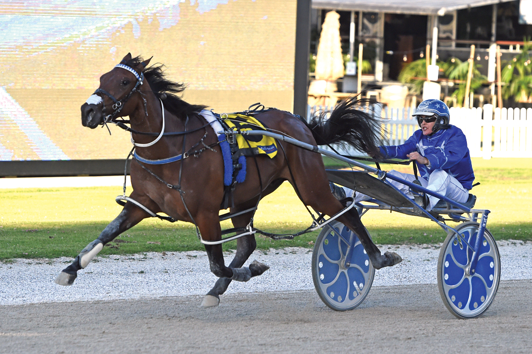 Kiwi star set for American debut