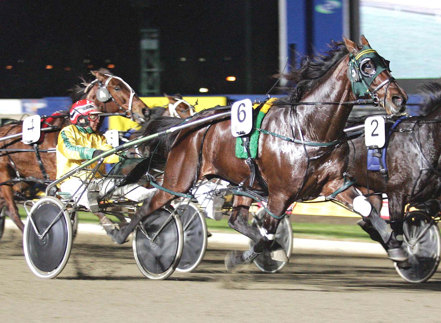 Breeding matriarch has elite record