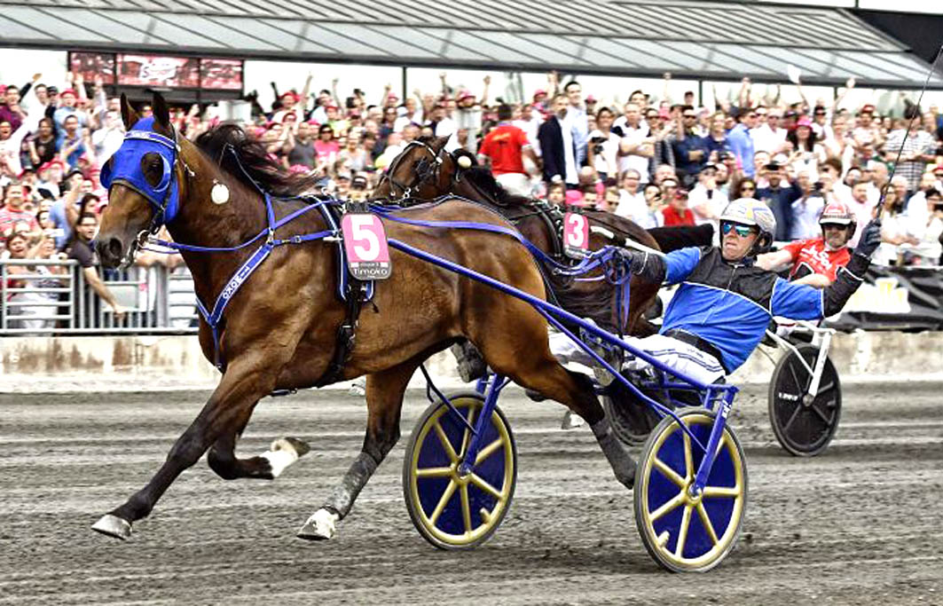 Stellar news for trotting breeders