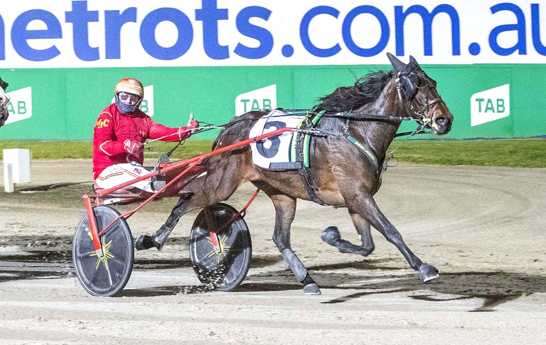 Multiple Group One winner retired