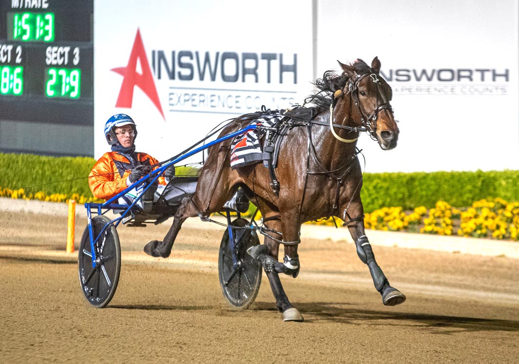 Aussie mare causes upset at The Meadows