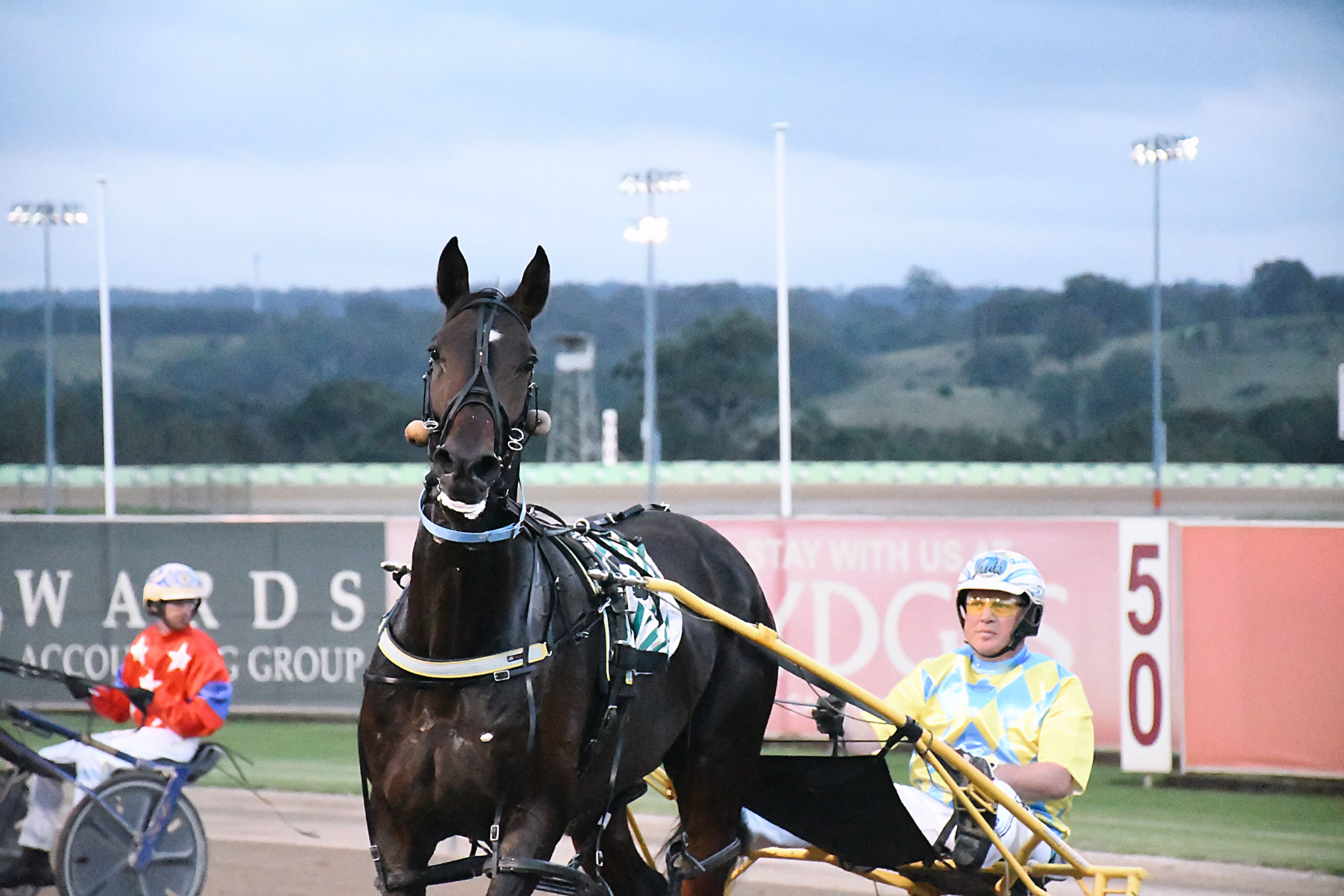 Rivals ready for the big bad Wolf